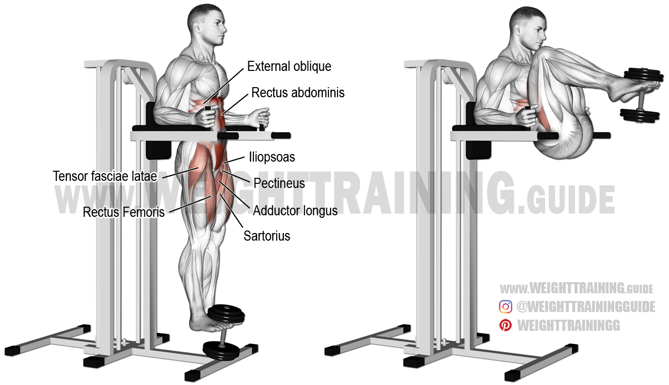 Weighted Captains Chair Leg And Hip Raise Exercise Instructions