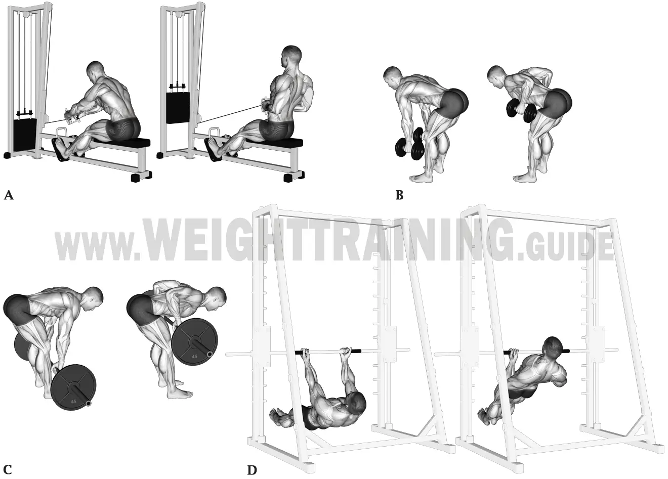 Horizontal pulling exercises, upper arms close to torso