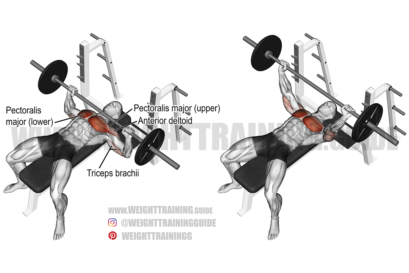 Barbell bench press exercise