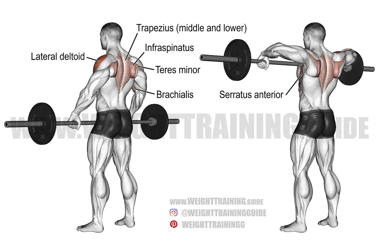 Barbell wide-grip upright row exercise