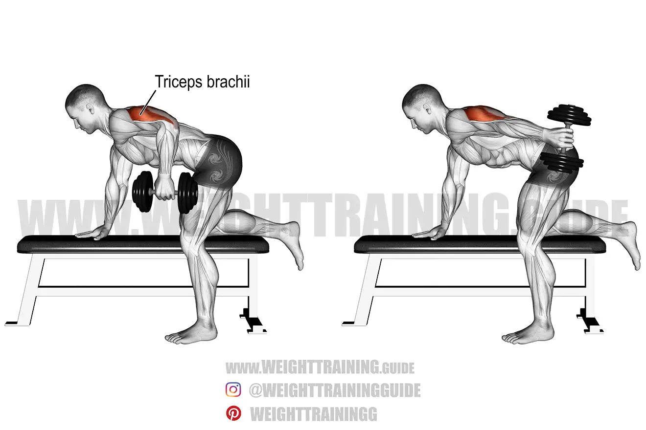 Triceps dumbbell kickback exercise