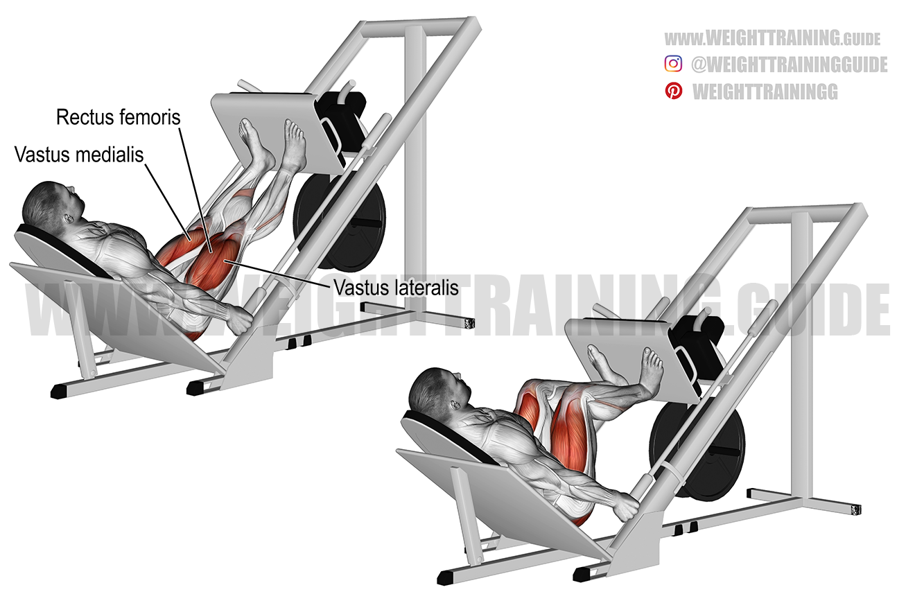 rijkdom G Barry Incline leg press exercise instructions and video | Weight Training Guide