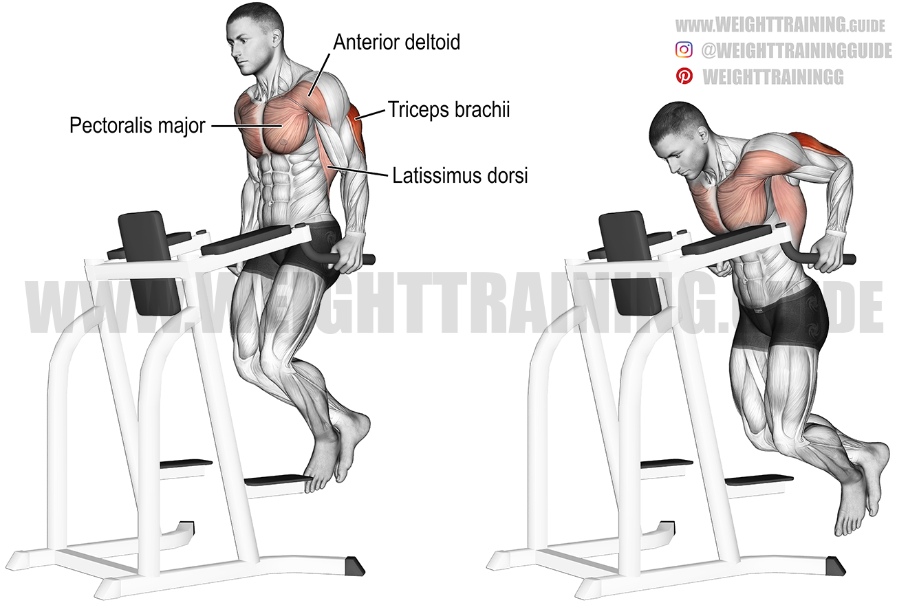 Tricep Dip Exercise