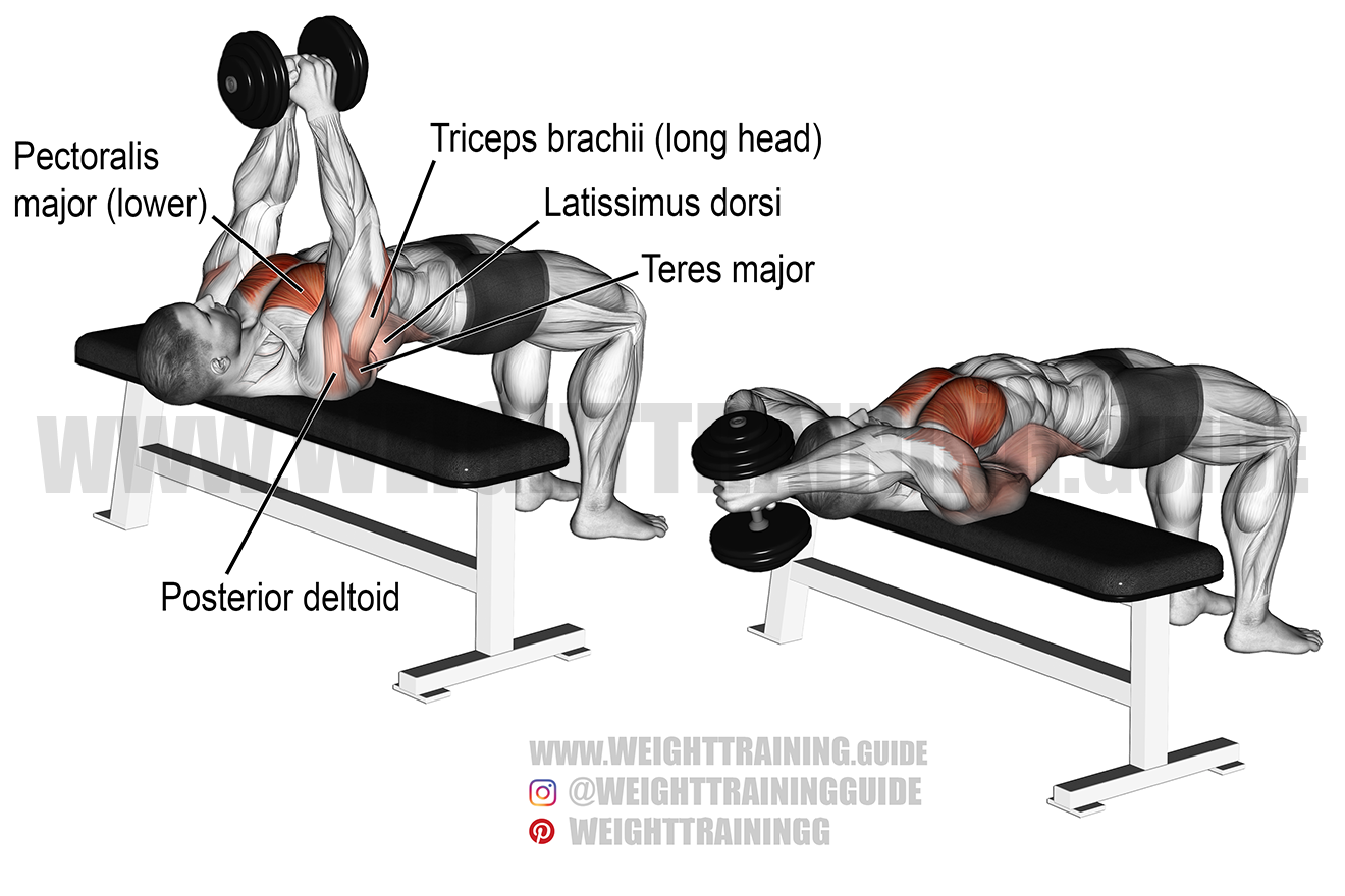 dumbbell pullover alternative no bench