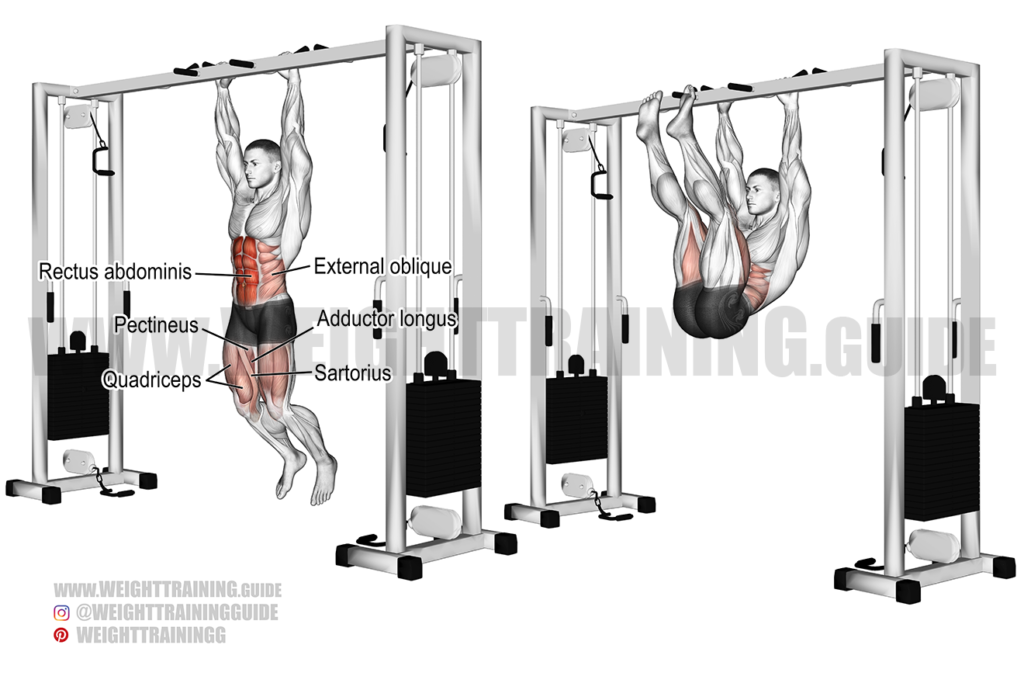 Captain's chair leg raise exercise guide and video | Weight Training Guide