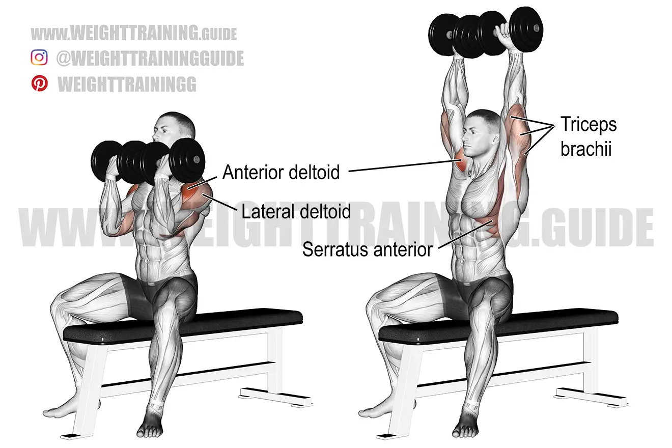 Arnold press exercise instructions and video | Weight Training Guide