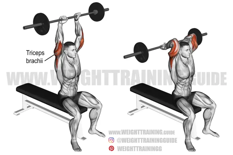 Overhead barbell triceps extension
