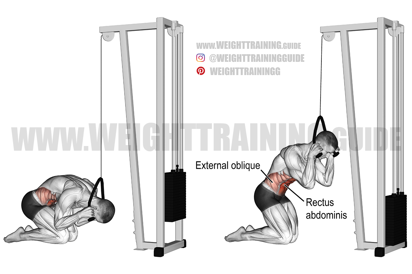 Cable Rope Crunch How To Build An Incredible Six Pack And Core With Cable Rope Crunch How To Build An Incredible Six Pack And Core With