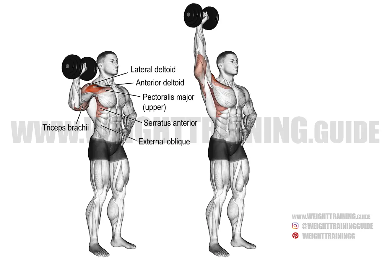 Dumbbell one-arm shoulder press exercise