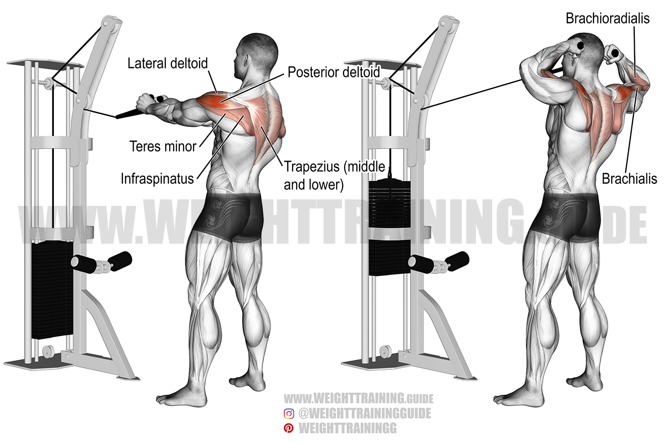 face pulls workout area