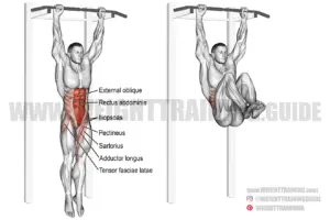 Hanging leg and hip raise exercise guide w/ video | Weight Training Guide