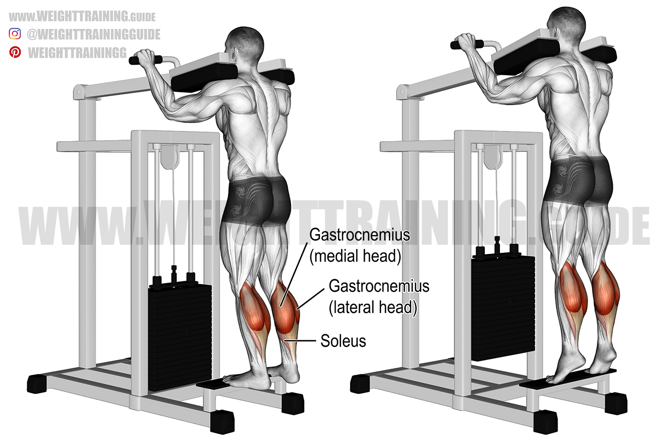 Calf Bar Standing Calf Machine Calf Stretching