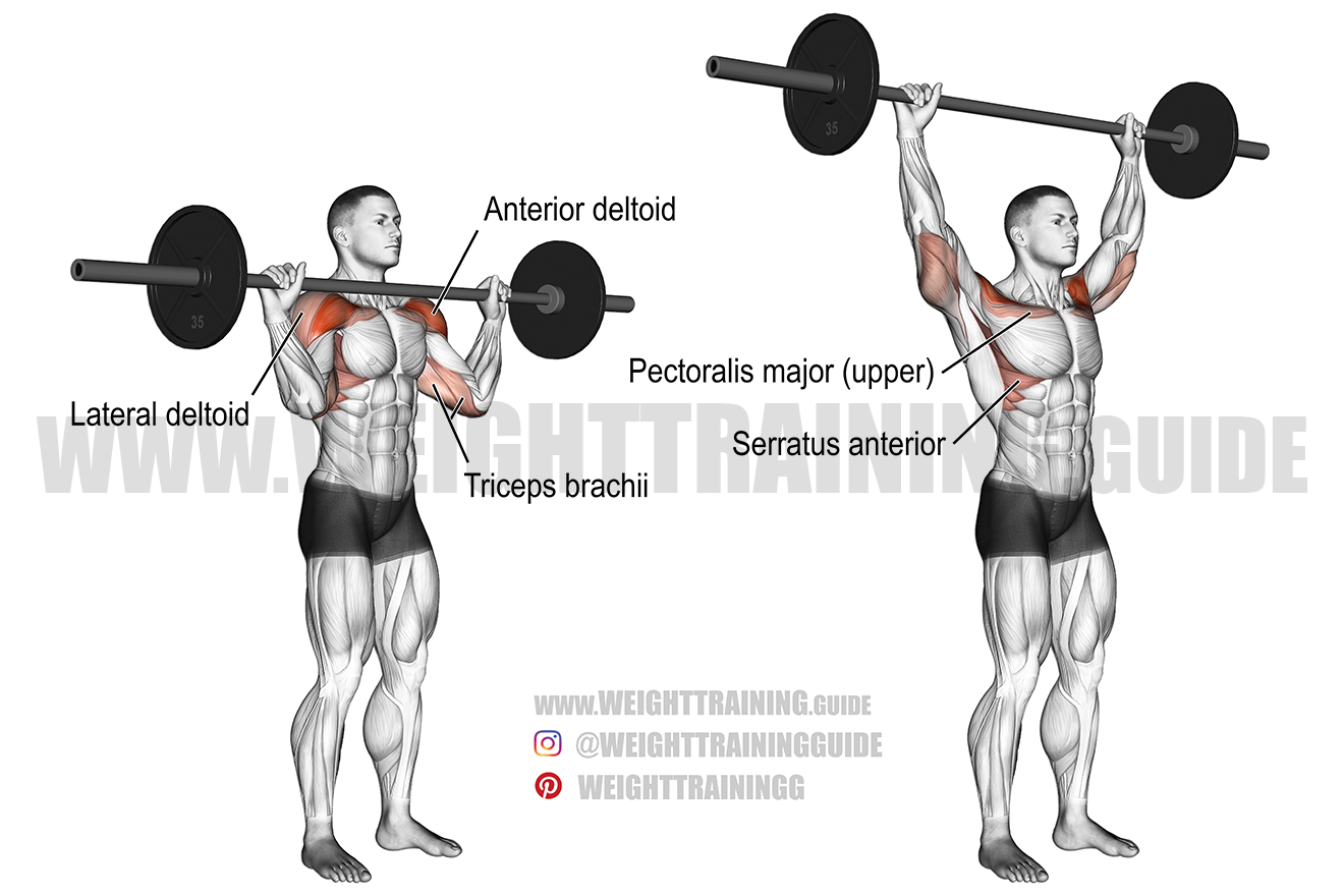 Barbell shoulder press exercise