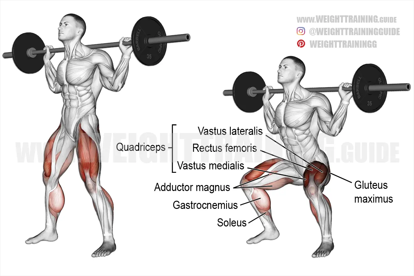Barbell squat exercise