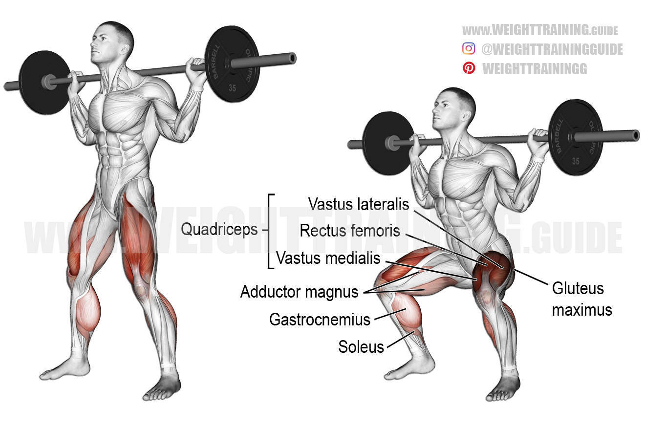 Barbell squat exercise instructions and video