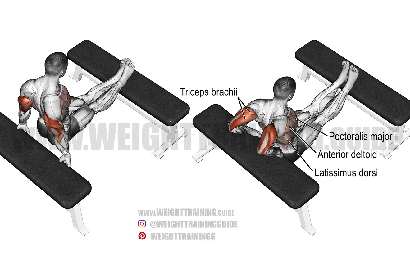 Bench dip triceps exercise