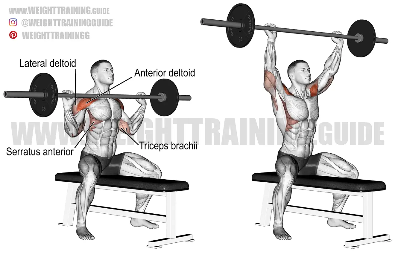 Seated barbell shoulder press exercise
