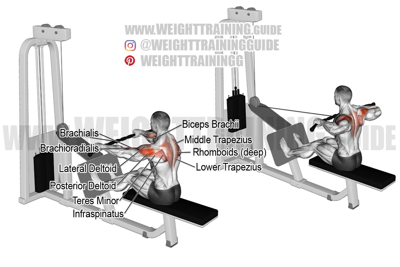 Straight-back seated cable row exercise instructions and video