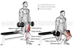 Dumbbell Bulgarian split squat guide and video | Weight Training Guide