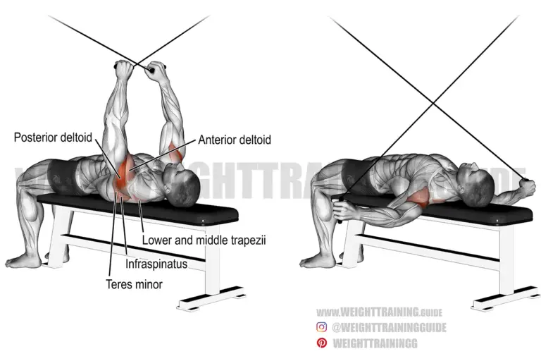Supine cable reverse fly