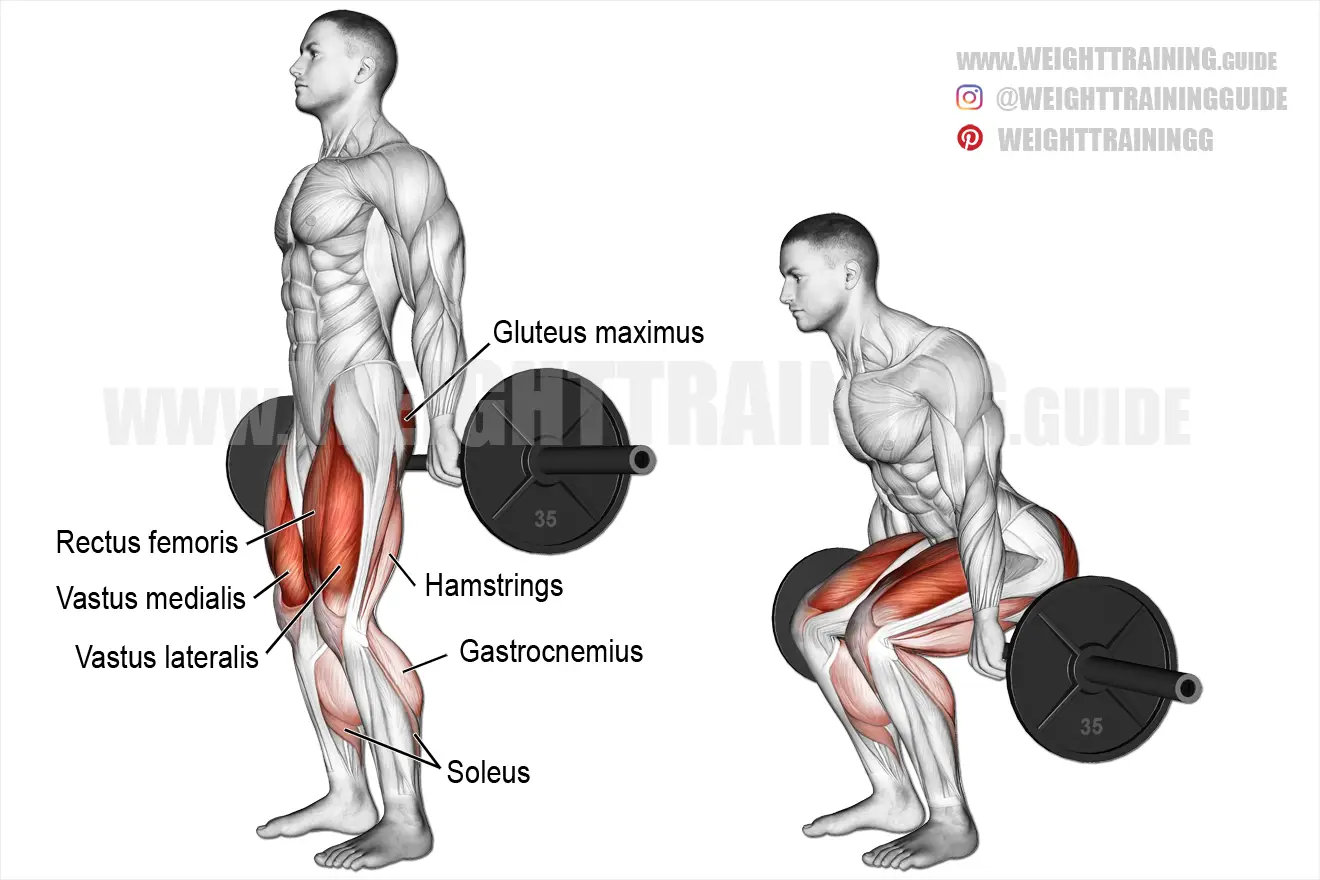 Barbell hack squat exercise
