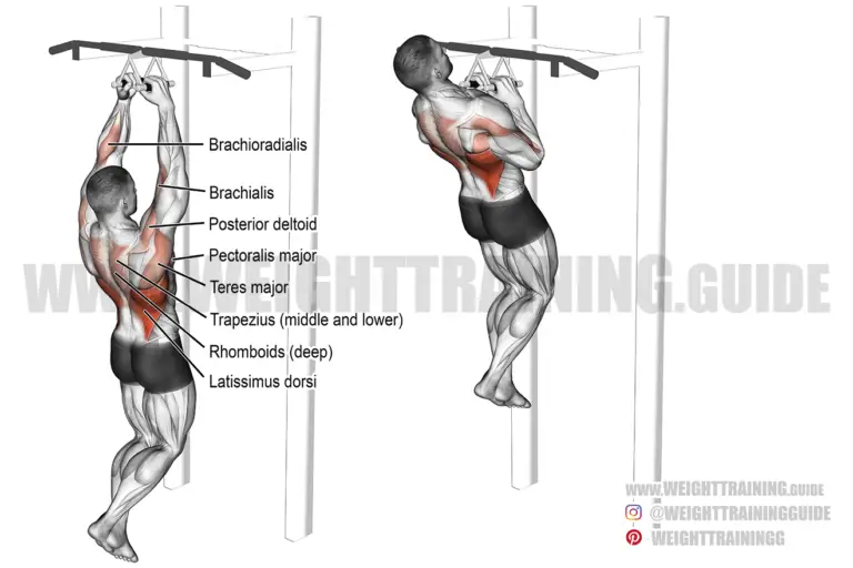 Close neutral-grip pull-up