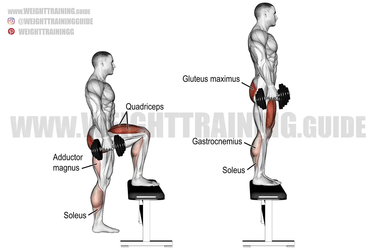 Dumbbell step-up exercise