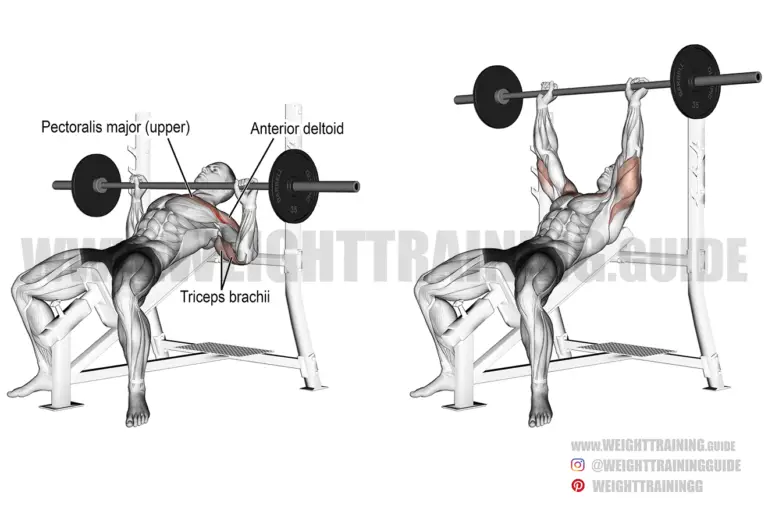 Incline barbell bench press