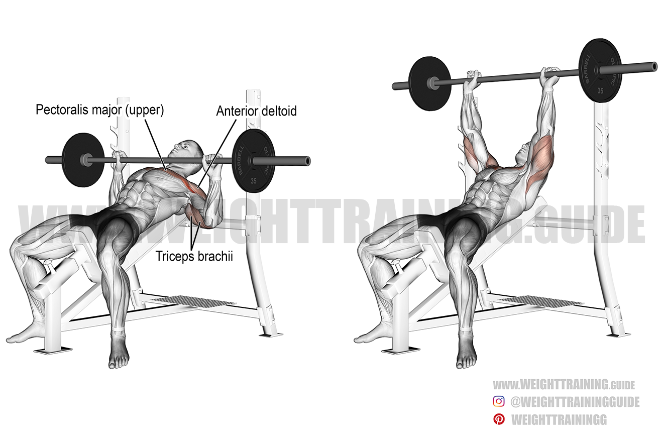 Incline barbell bench press instructions and video Weight Training Guide