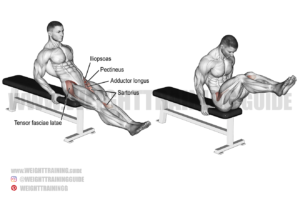 Seated leg raise exercise instructions and video | Weight Training Guide