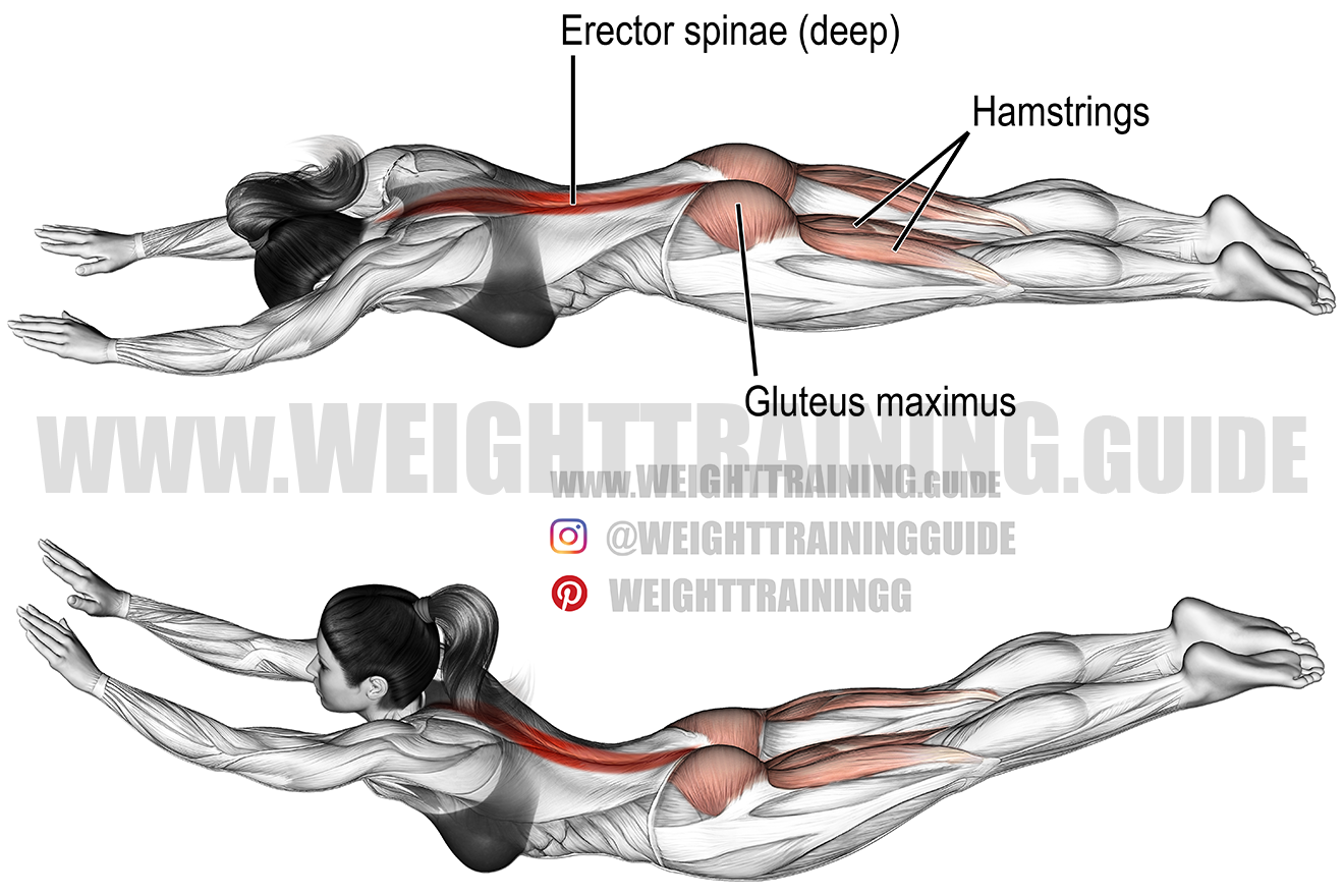 Extension Superman Exercise At Valentine Yan Blog Extension Superman Exercise At Valentine Yan Blog