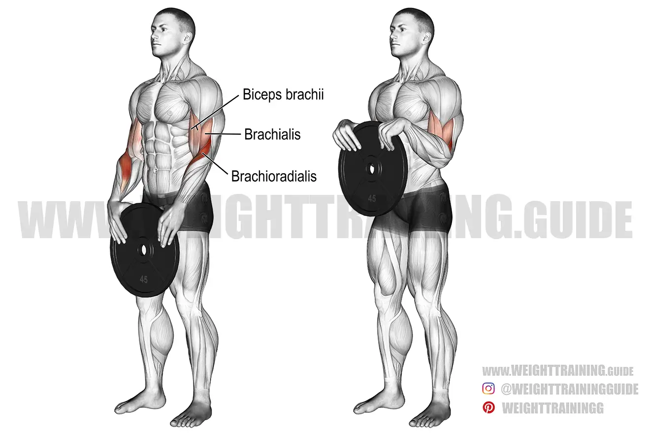 Weight plate reverse curl exercise