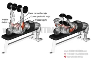 Tate press exercise instructions and video | Weight Training Guide