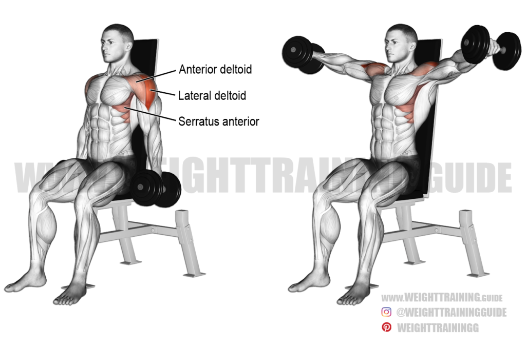 Seated leg raise exercise instructions and video | Weight Training Guide