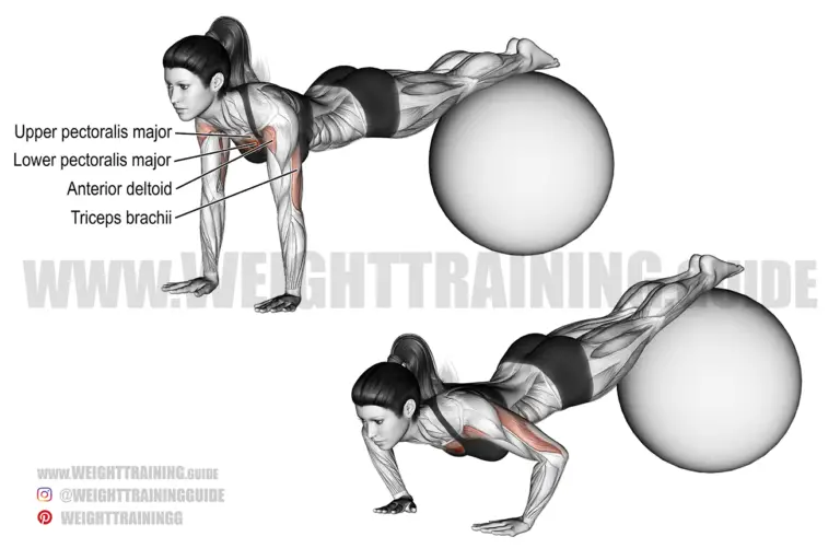 Stability ball decline push-up