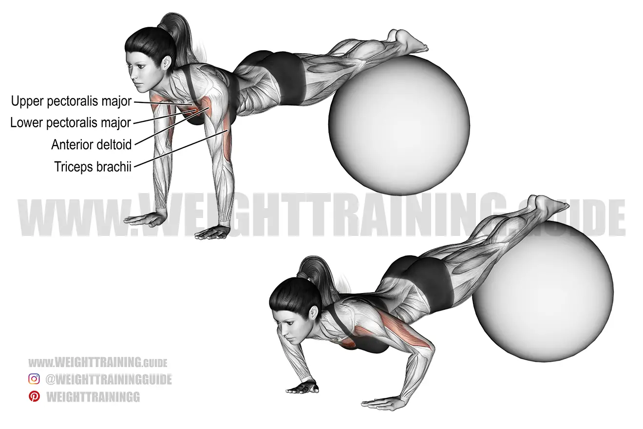 Stability ball decline push-up exercise