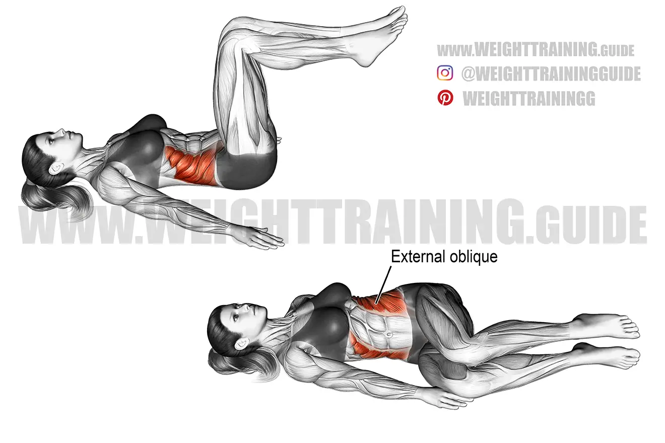 Lying bent-knee oblique twist instructions and video | WeightTraining.guide