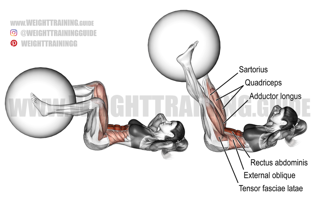 Crunch with leg raise exercise instructions and video