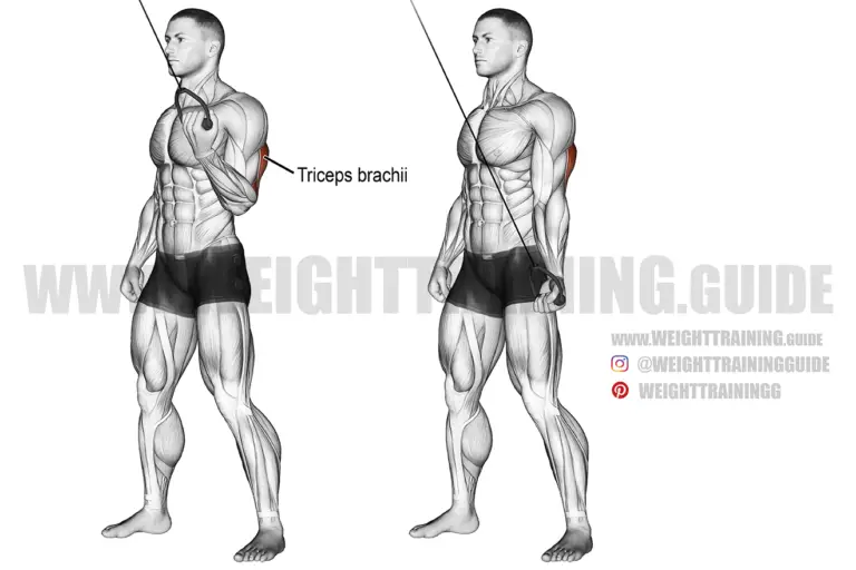 Cable one-arm reverse-grip triceps push-down