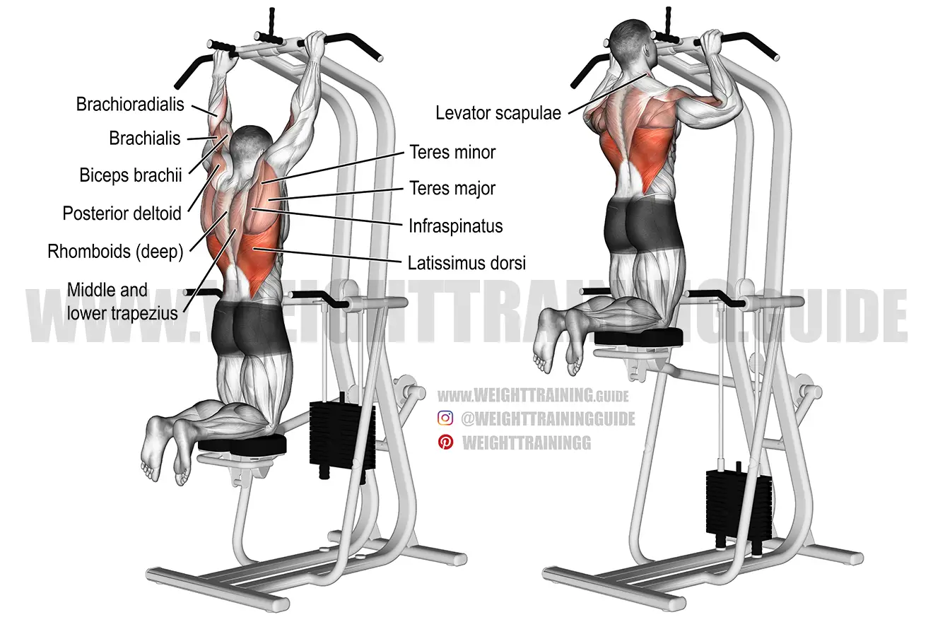 Machine-assisted pull-up exercise