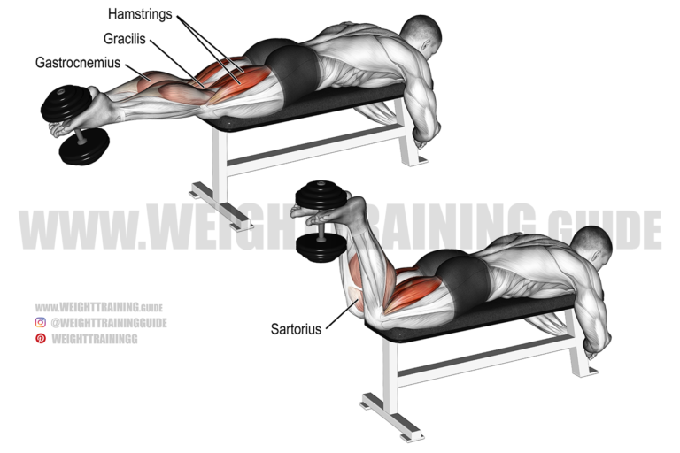 Dumbbell leg curl exercise