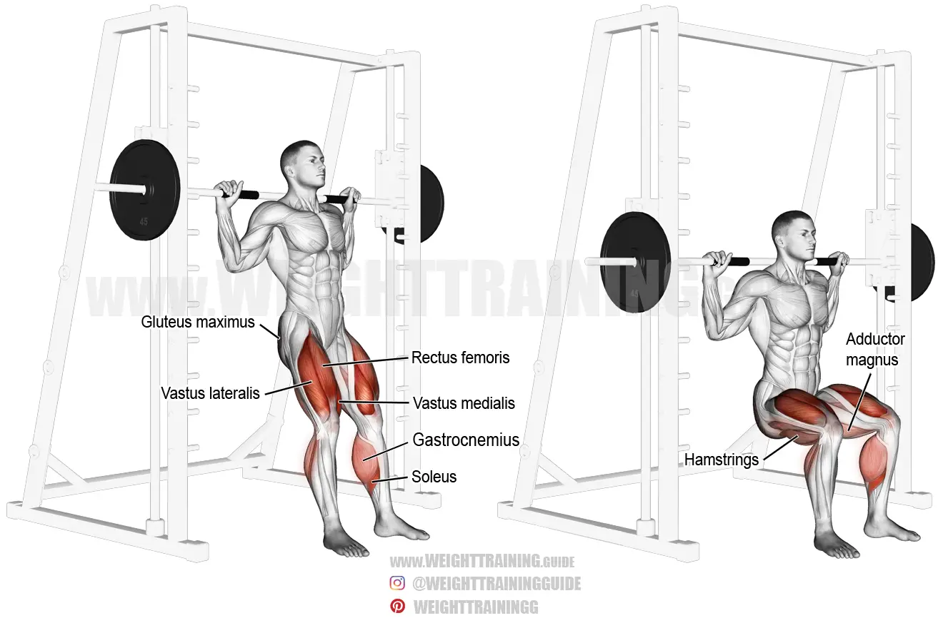 Smith chair squat exercise