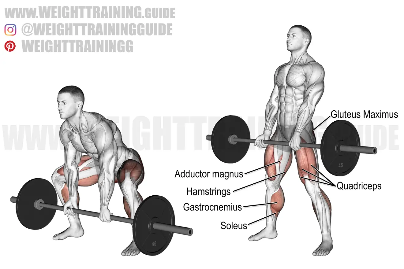 Barbell sumo deadlift exercise