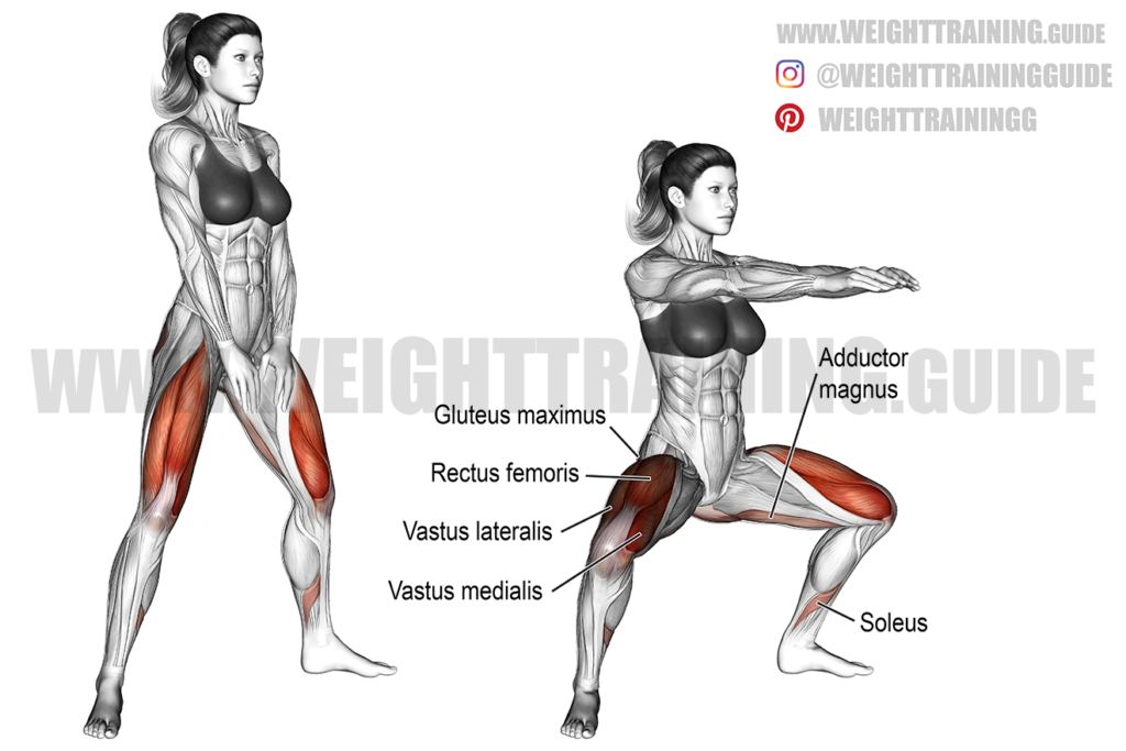 Squat Target Bodyweight sumo squat instructions and video | Weight Training Guide