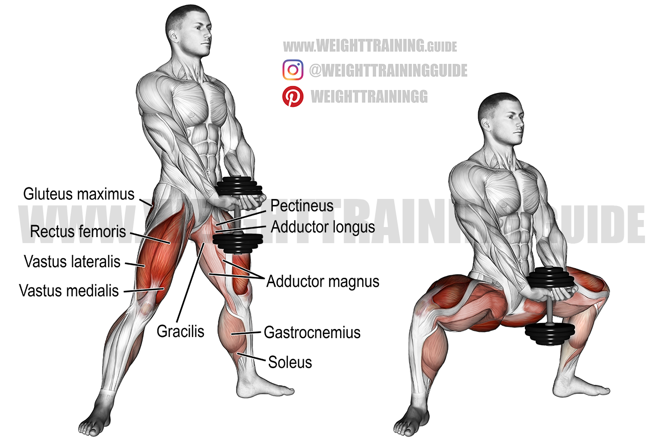 Dumbbell sumo squat exercise guide and video Weight Training Guide