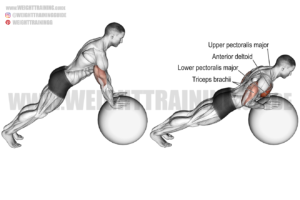 Best chest exercises for lower and upper chest - Page 6 of 7 | Weight ...