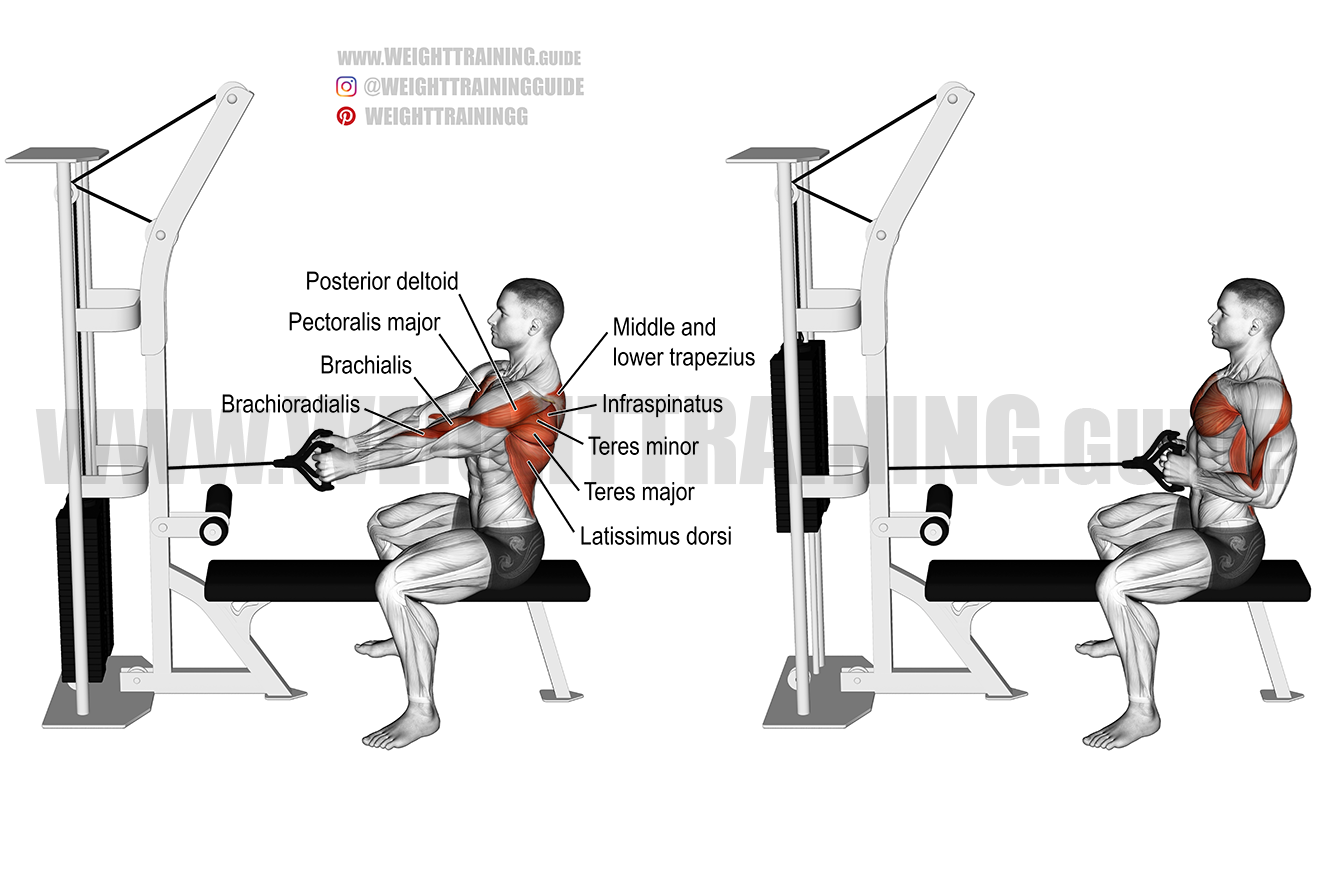 Straight-back seated cable row exercise