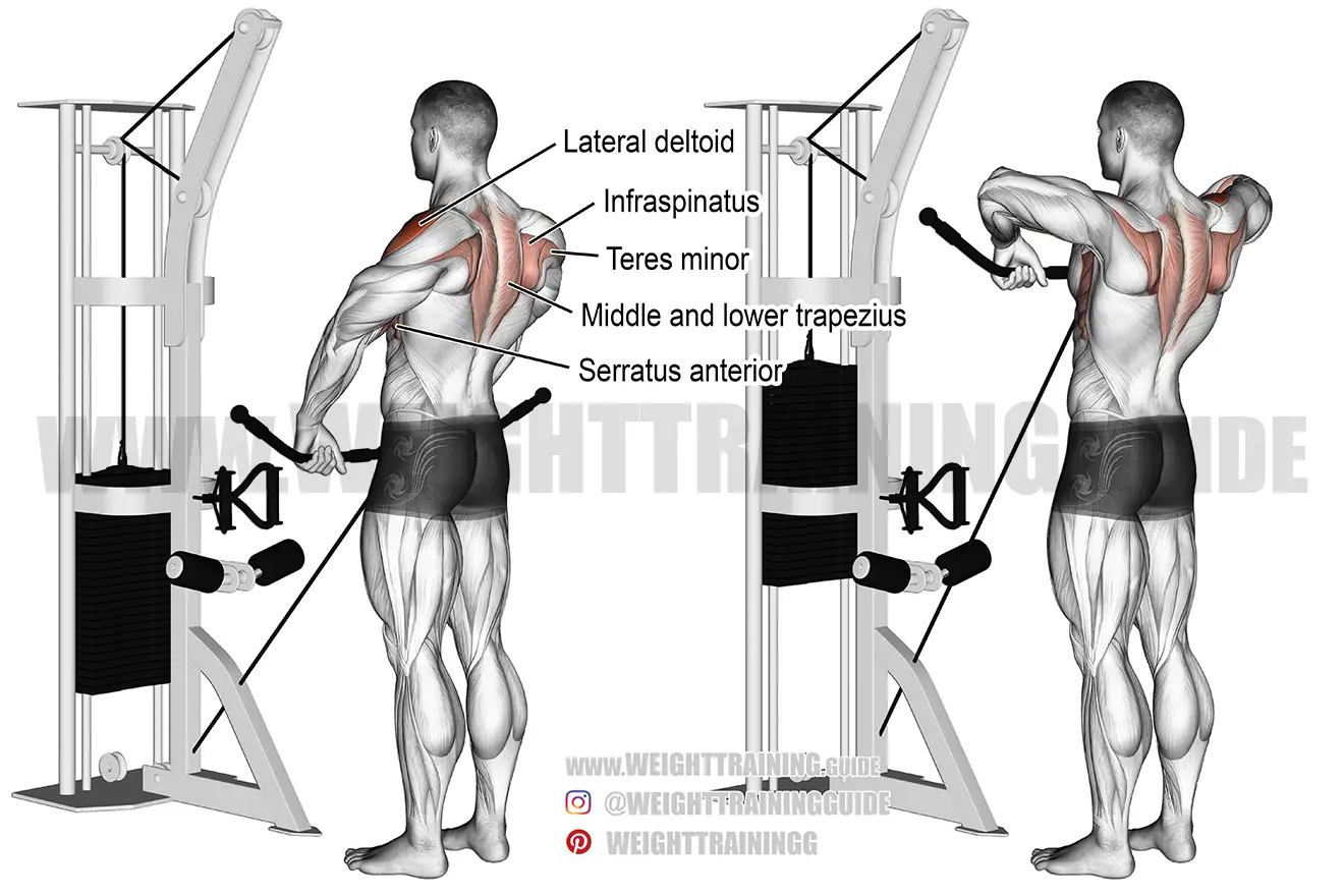 Cable wide grip upright row exercise