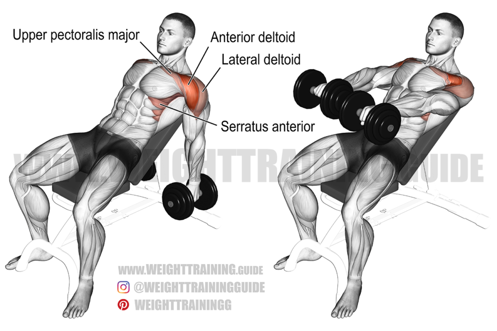 Leaning dumbbell lateral raise exercise instructions and videos