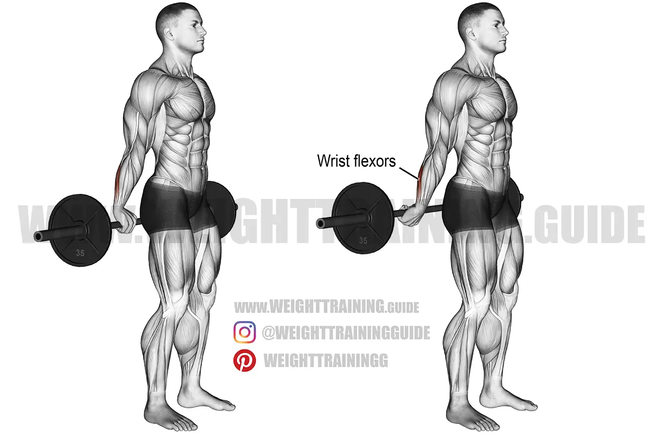 Behind-the-back barbell wrist curl exercise